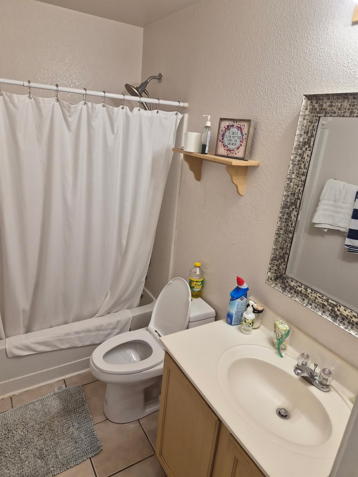261 Amber Ash Drive Kyle TX 78640