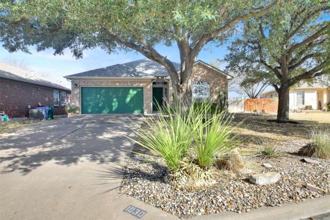 1030 Disraeli Circle Pflugerville TX 78660