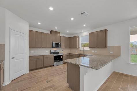 18005 Bridled Stallion Drive Manor TX 78653