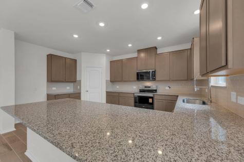 18005 Bridled Stallion Drive Manor TX 78653