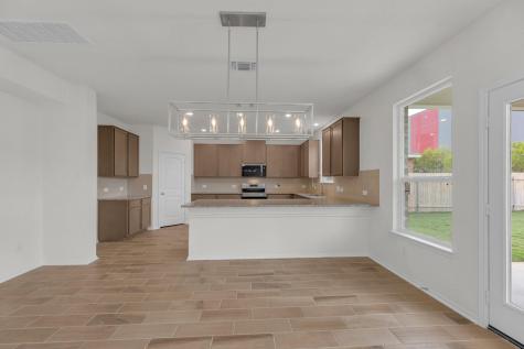 18005 Bridled Stallion Drive Manor TX 78653