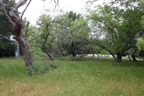 7887 Pettytown Road Red Rock TX 78662