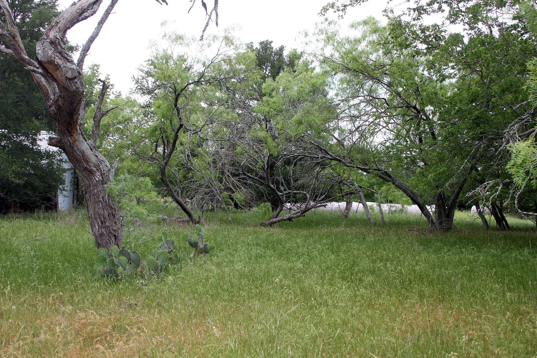 7887 Pettytown Road Red Rock TX 78662