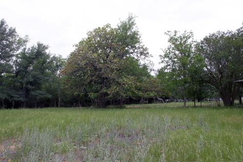 7887 Pettytown Road Red Rock TX 78662