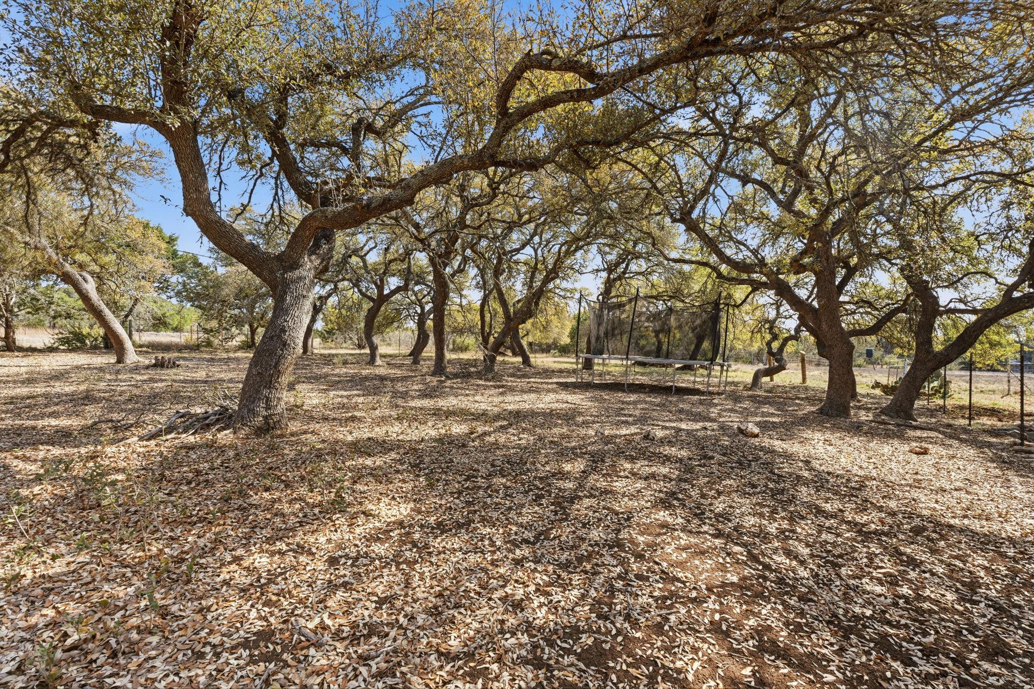 255 Rocky Creek Road Dripping Springs TX 78620