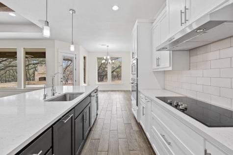 137 Chickasaw Plum Drive Leander TX 78641
