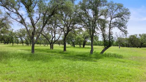 1241 Sandy Oaks Ranch Road Johnson City TX 78636