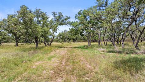 1241 Sandy Oaks Ranch Road Johnson City TX 78636