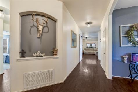 3717 Heron Roost Pass Pflugerville TX 78660