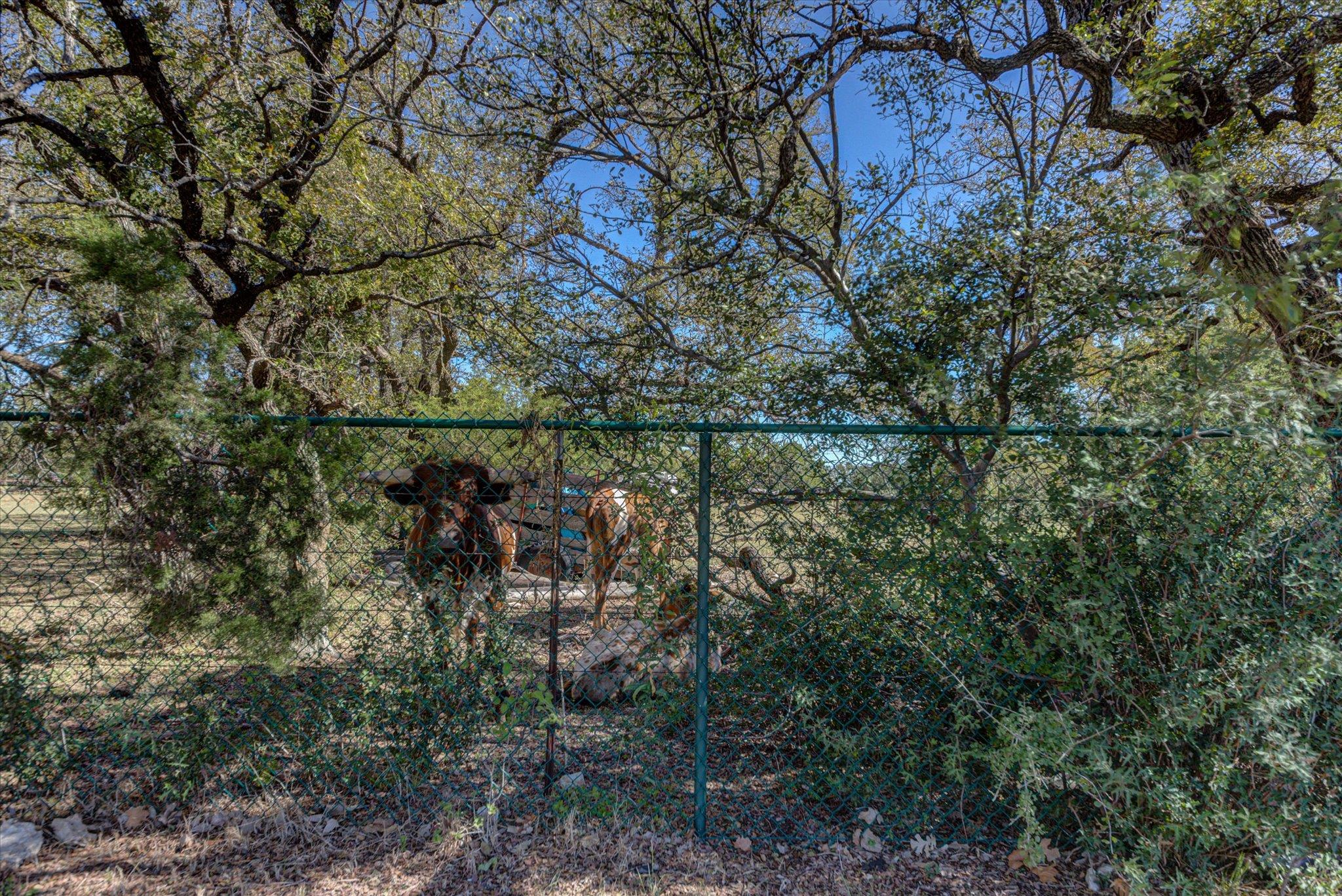 200 Harbor Cir Circle Georgetown TX 78633