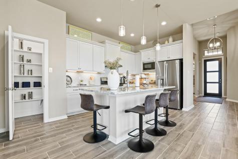 425 Blue Vervain Trail Georgetown TX 78633