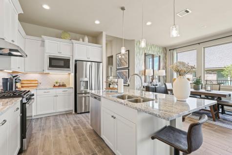 425 Blue Vervain Trail Georgetown TX 78633