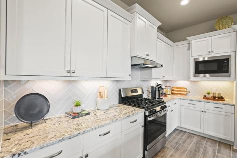 425 Blue Vervain Trail Georgetown TX 78633
