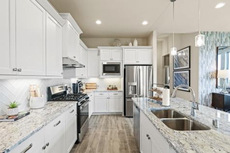 425 Blue Vervain Trail Georgetown TX 78633