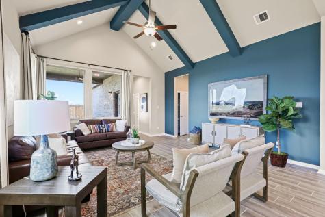 425 Blue Vervain Trail Georgetown TX 78633