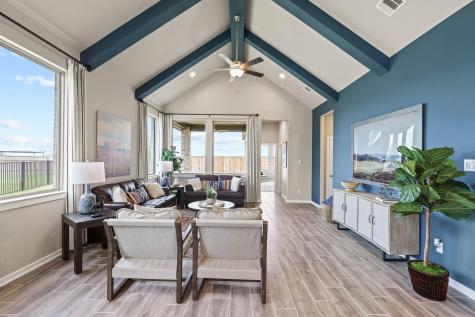 425 Blue Vervain Trail Georgetown TX 78633