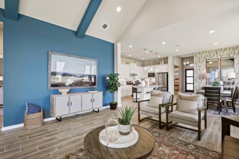 425 Blue Vervain Trail Georgetown TX 78633