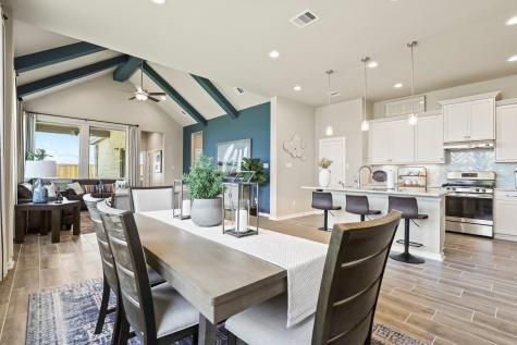 425 Blue Vervain Trail Georgetown TX 78633