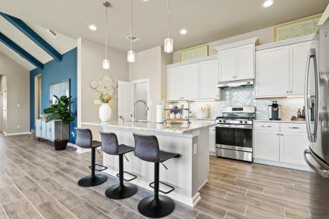 425 Blue Vervain Trail Georgetown TX 78633