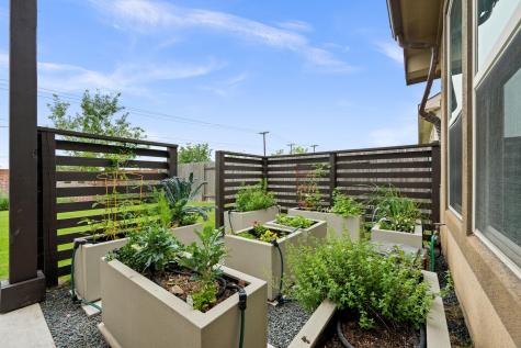 725 Blue Agave Lane Georgetown TX 78626