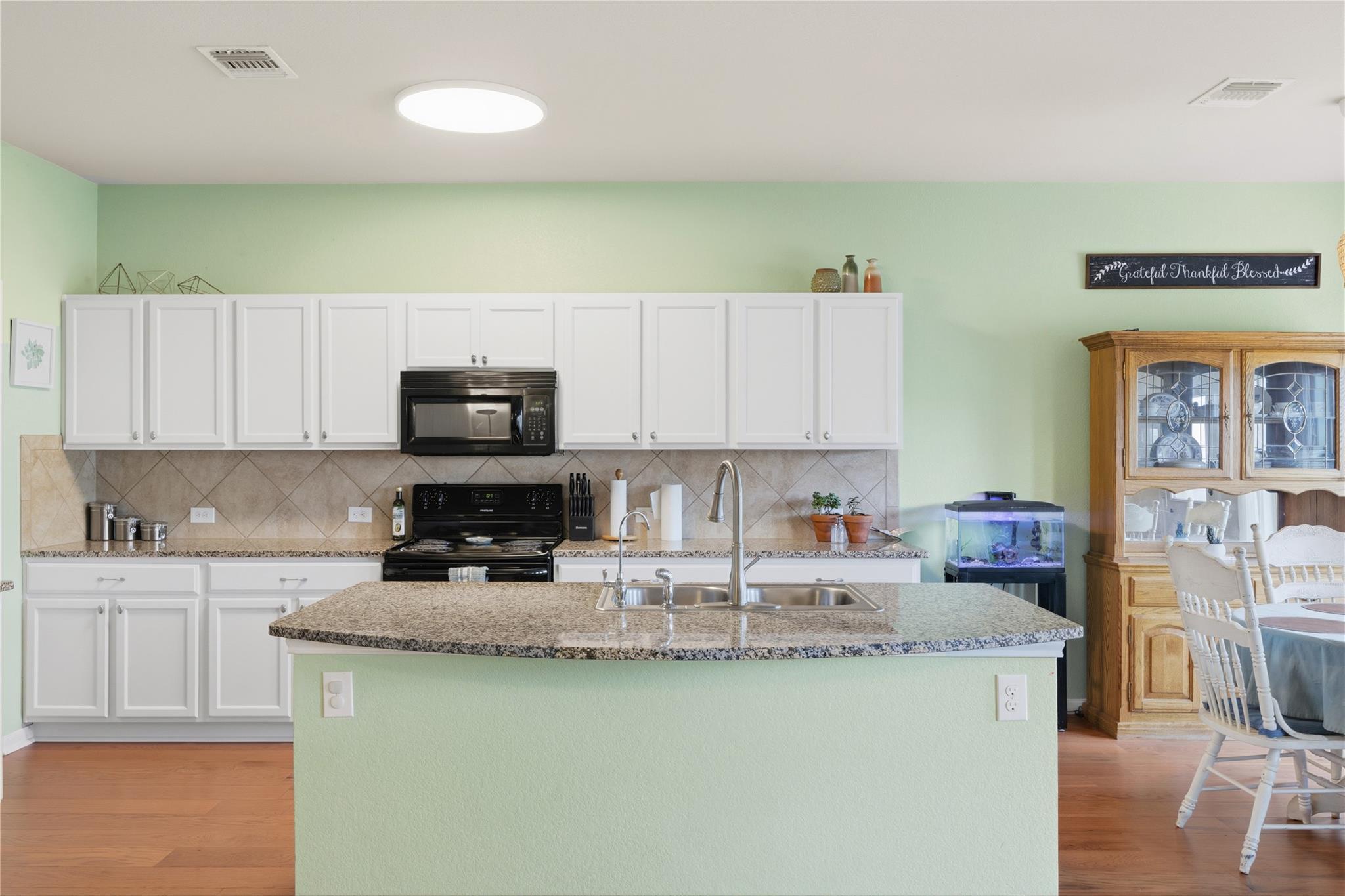 509 Pinnacle Drive Georgetown TX 78626