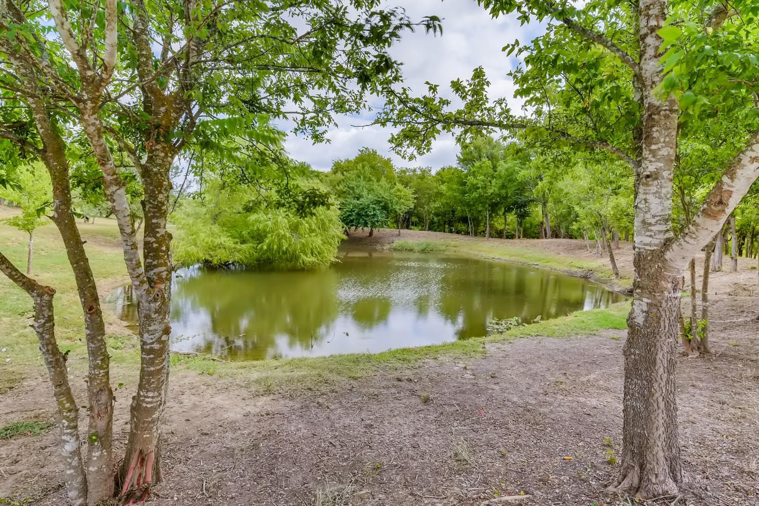 181 Cushman Drive Kyle TX 78640
