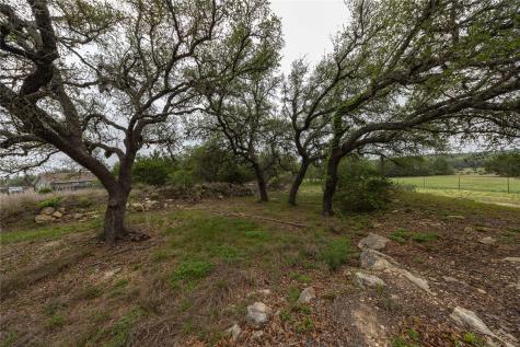 1645 Agarita Drive Fischer TX 78623