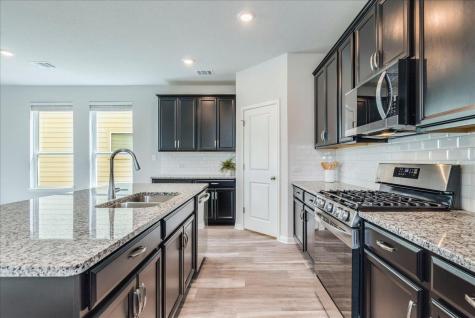 147 Sawtooth Mountain Way Dripping Springs TX 78620