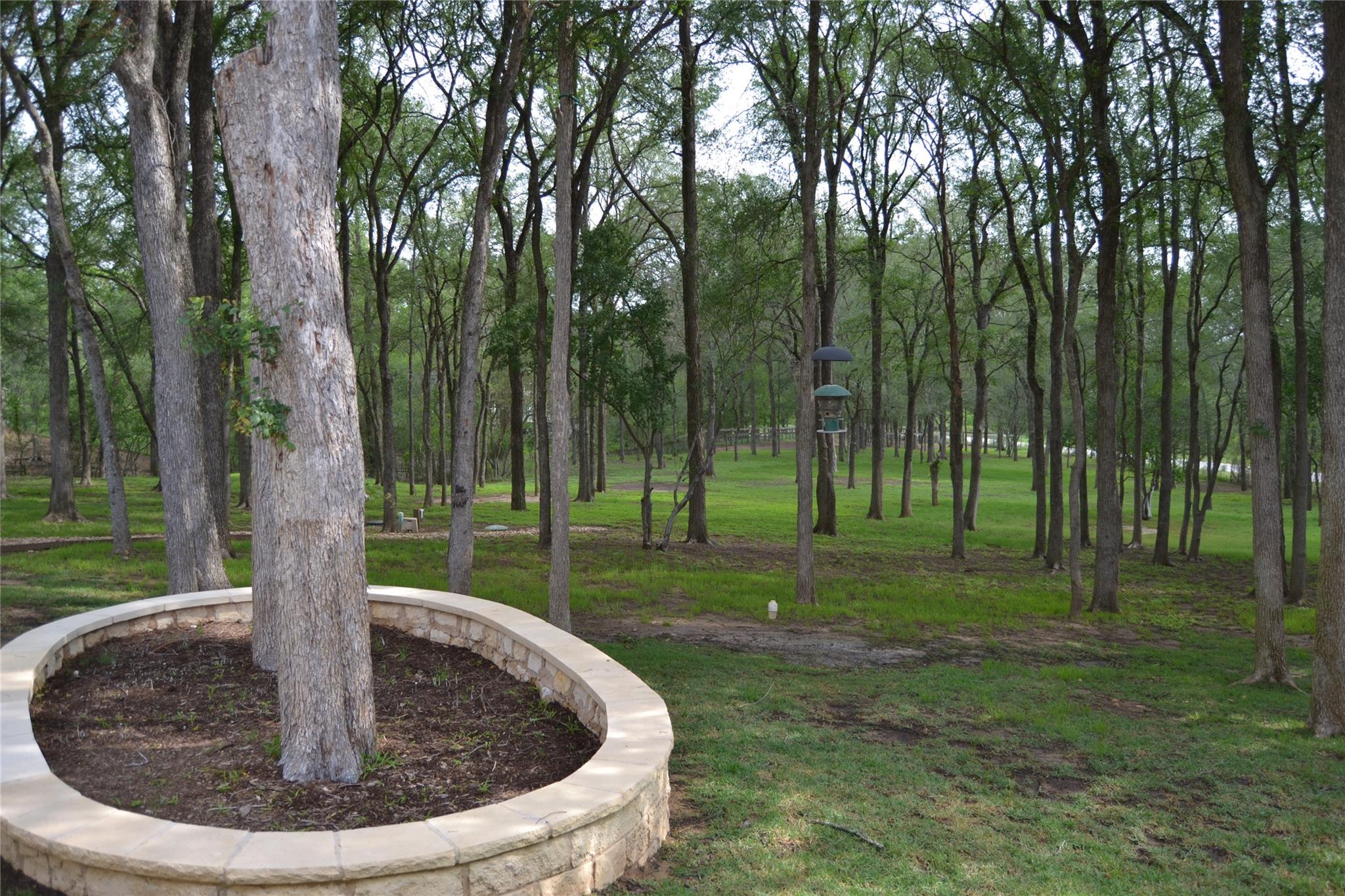 142 Llano Court Cedar Creek TX 78612