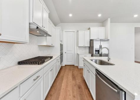 212 Royal Fern Road Hutto TX 78634