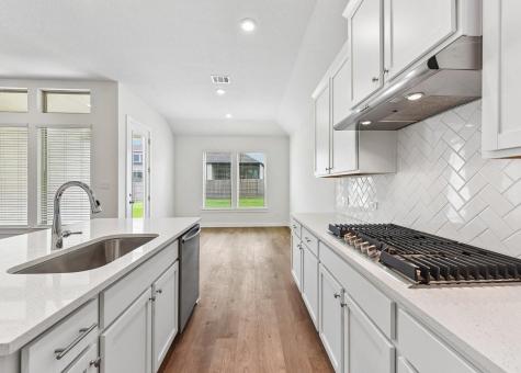 212 Royal Fern Road Hutto TX 78634