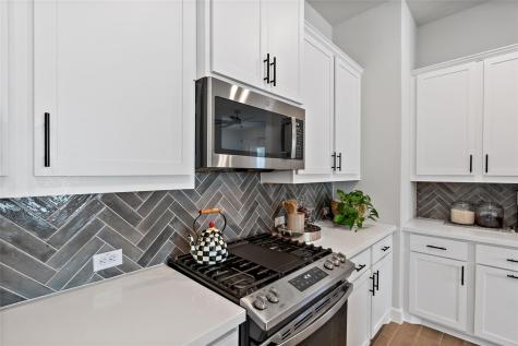 163 Cotton Tree Terrace Dripping Springs TX 78620