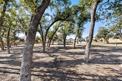 163 Cotton Tree Terrace Dripping Springs TX 78620