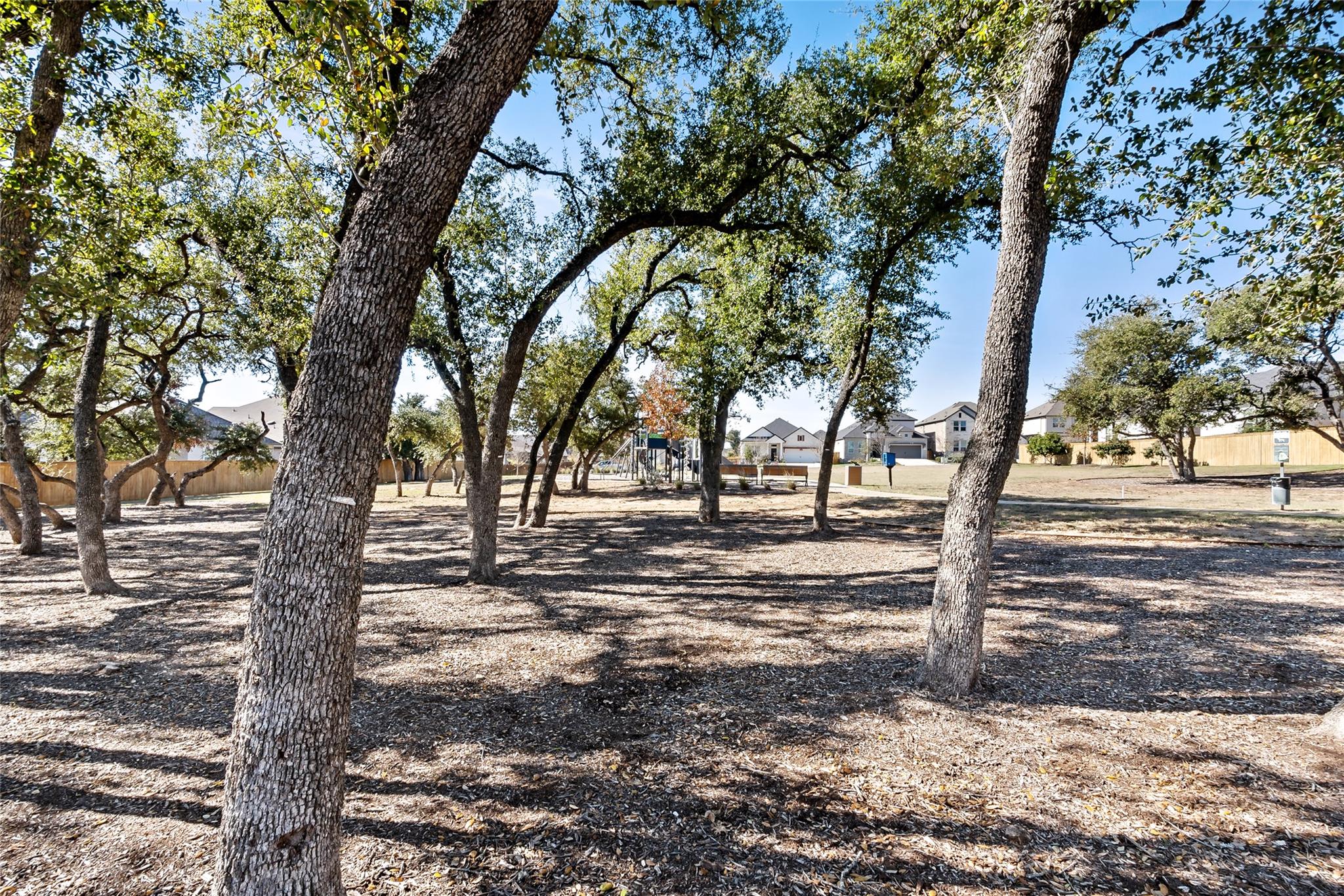 163 Cotton Tree Terrace Dripping Springs TX 78620