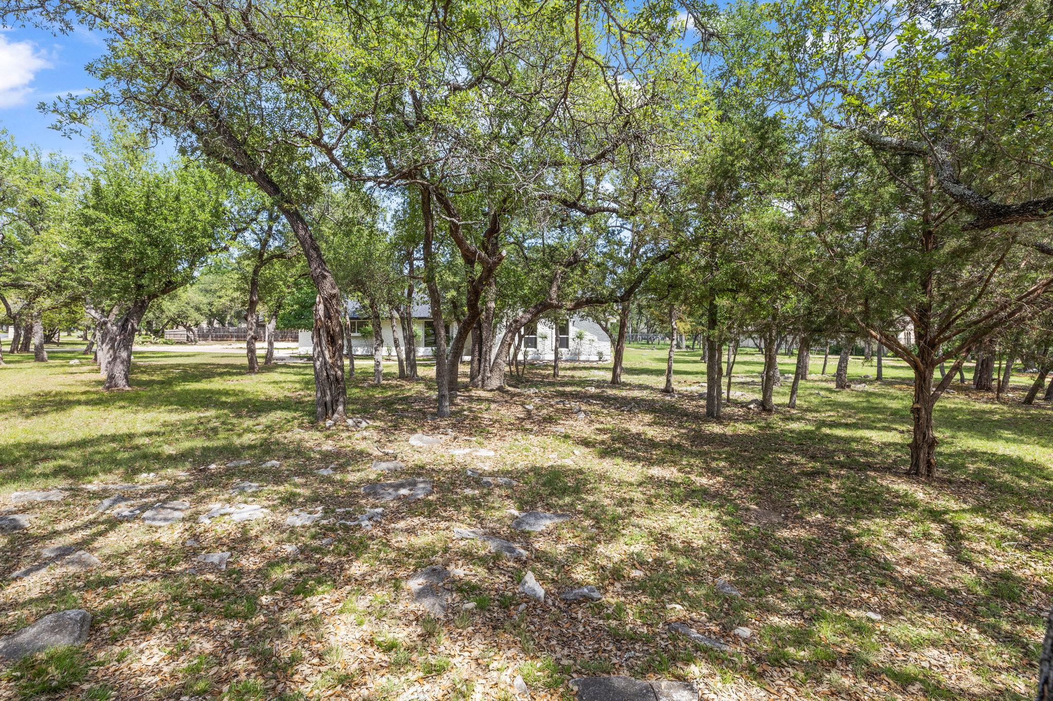 216 Sinuso Drive Georgetown TX 78628