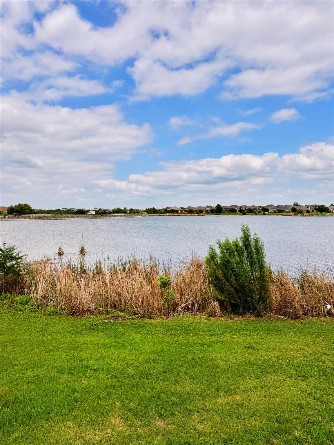 16820 Guido Cove Pflugerville TX 78660