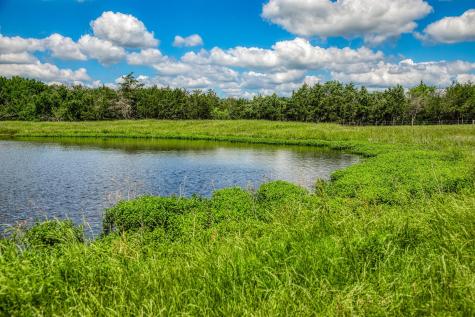 1850 Lcr 439 Groesbeck TX 76667