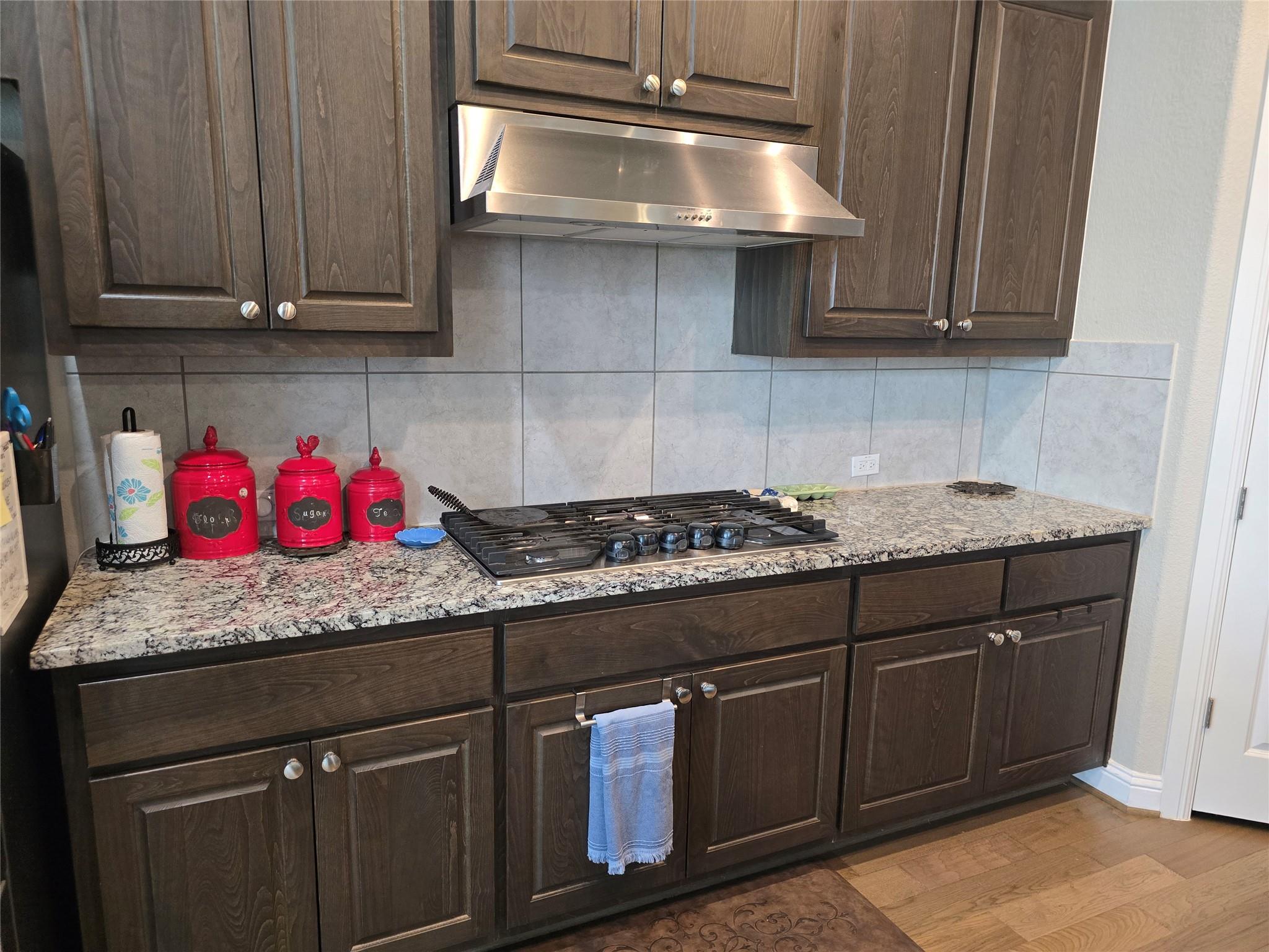 3525 Tree Swallow Way Pflugerville TX 78660