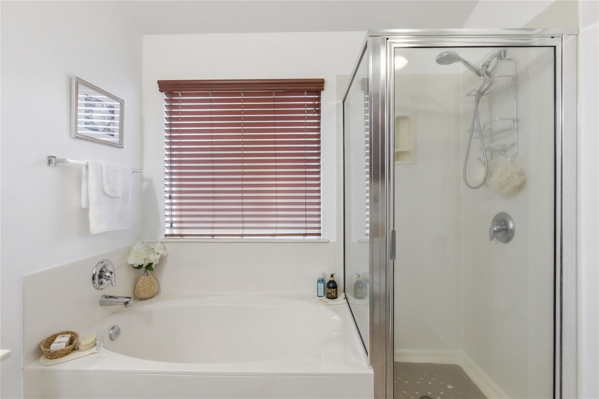 180 Mystic Shadow Lane Buda TX 78610