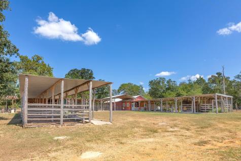 274 Old Potato Road Paige TX 78659