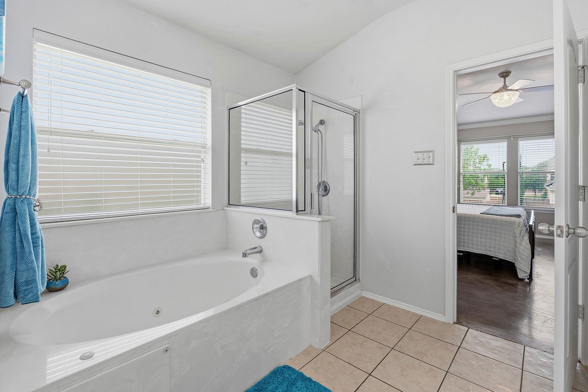 18704 Jana Patrice Drive Pflugerville TX 78660