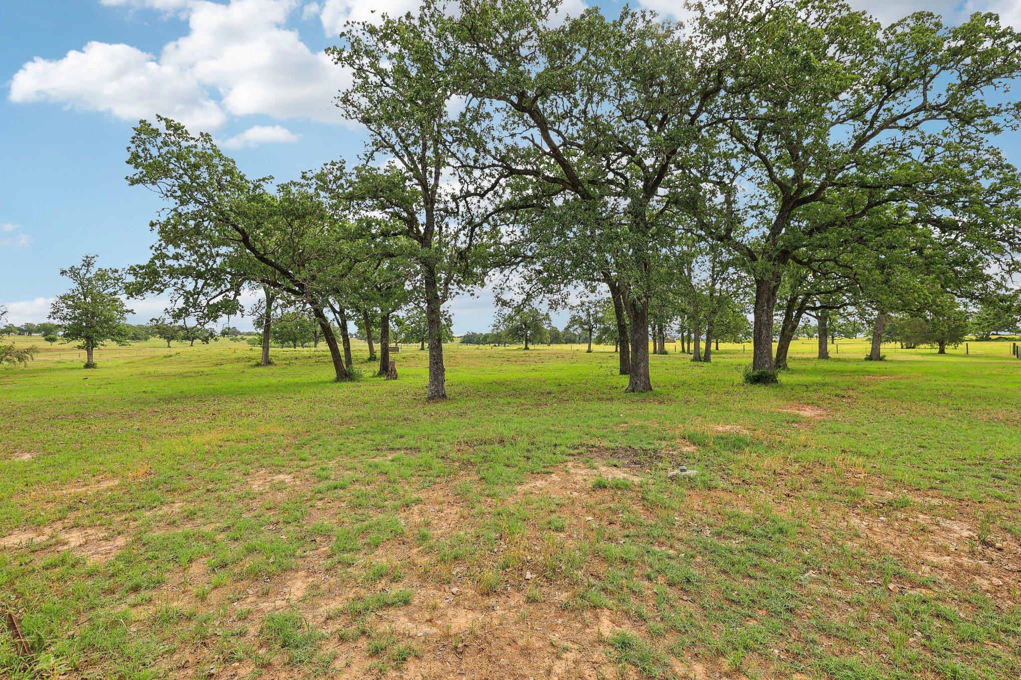 1200 County Road 211 Giddings TX 78942