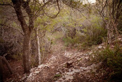 1432 Tom Sawyer Road Dripping Springs TX 78620