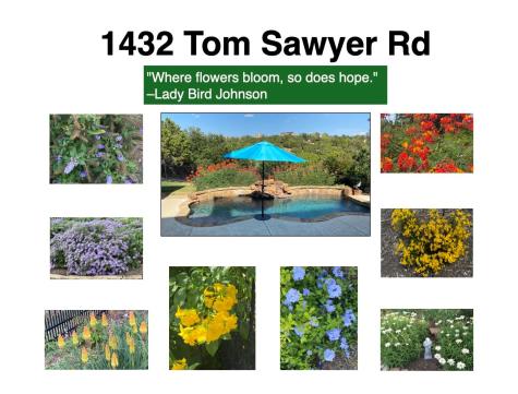 1432 Tom Sawyer Road Dripping Springs TX 78620