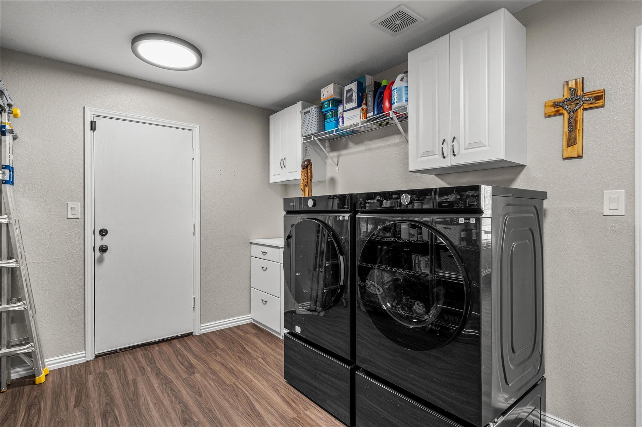 19629 San Chisolm Drive Round Rock TX 78664