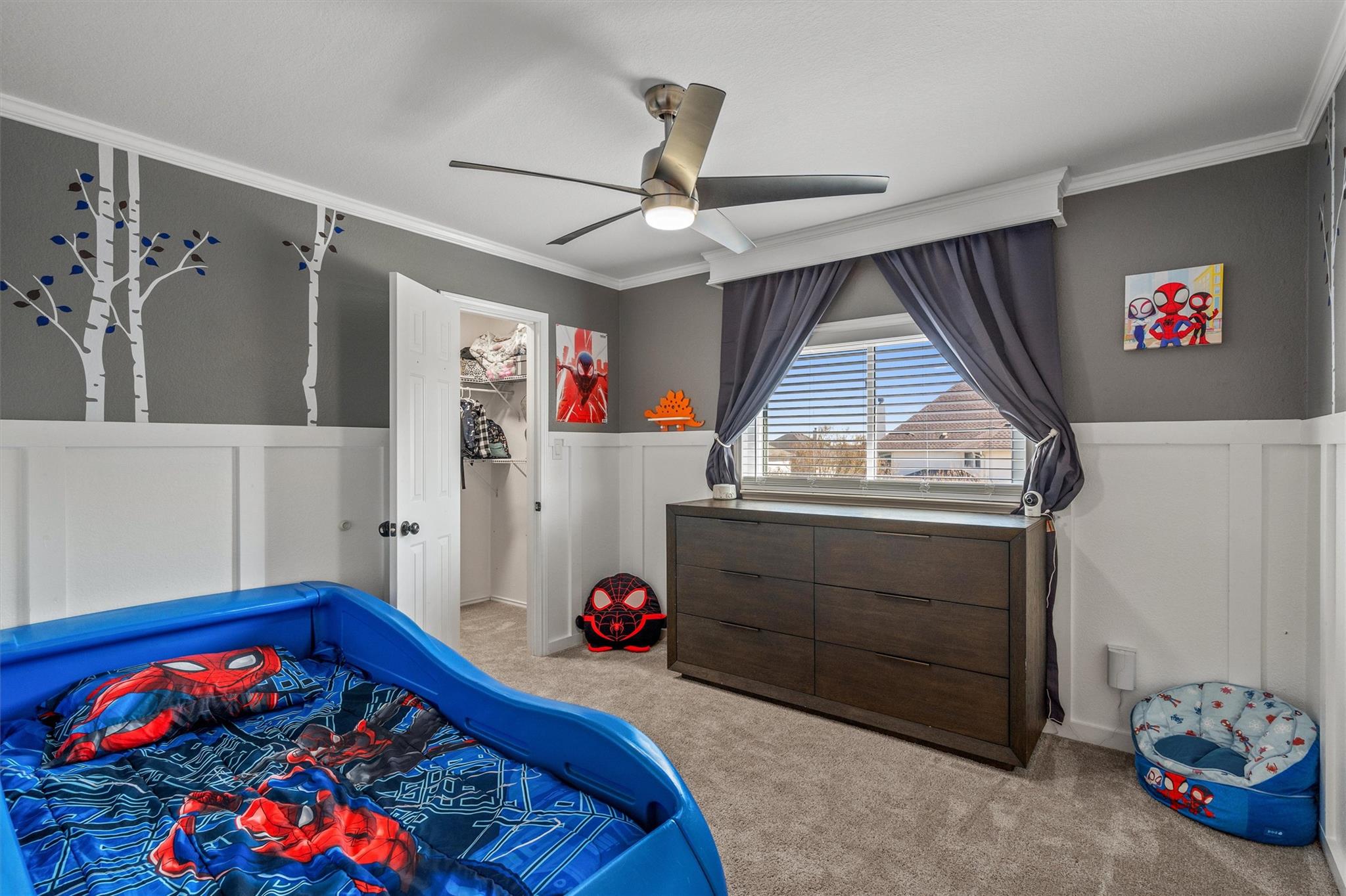19629 San Chisolm Drive Round Rock TX 78664