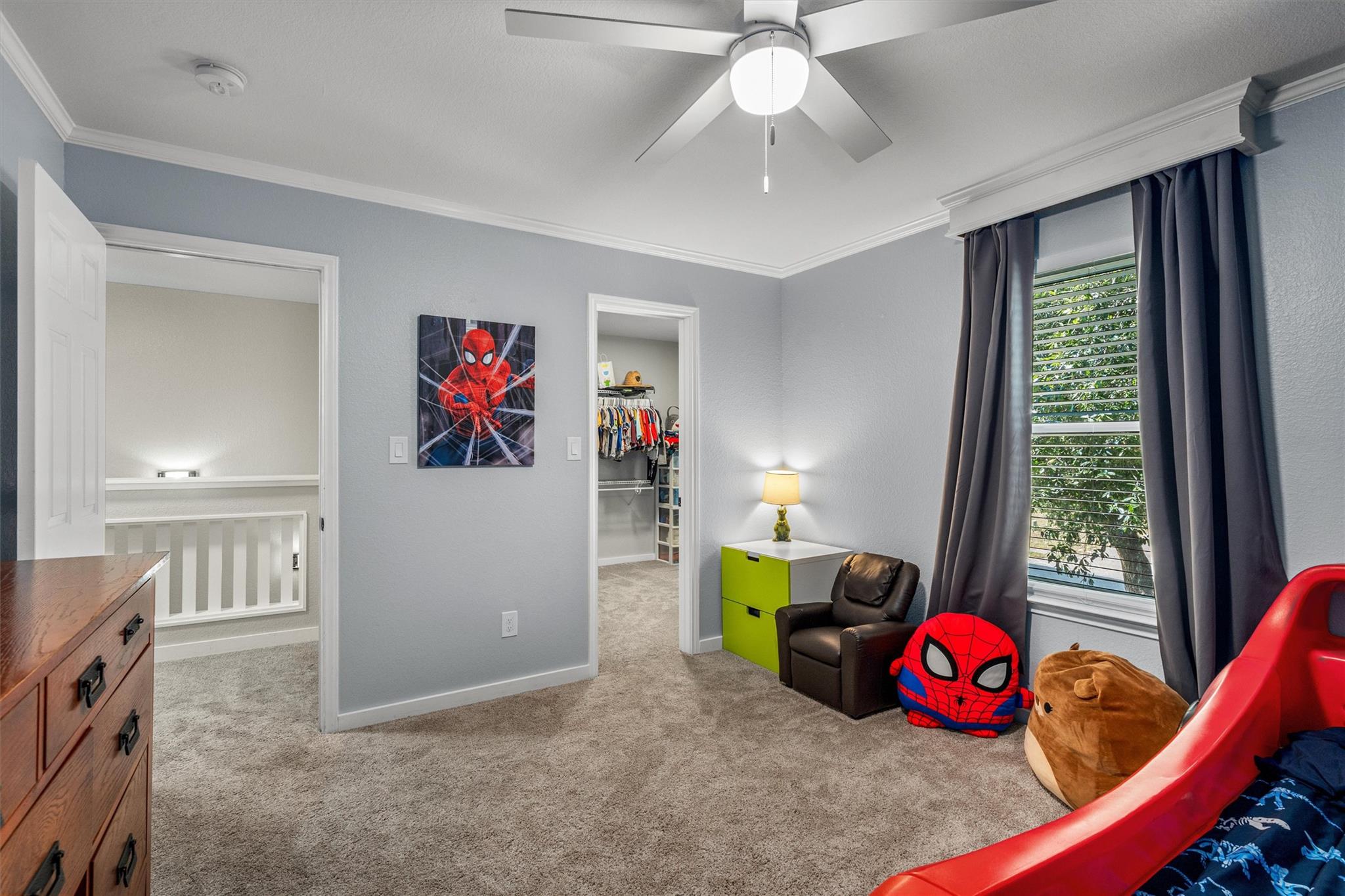 19629 San Chisolm Drive Round Rock TX 78664