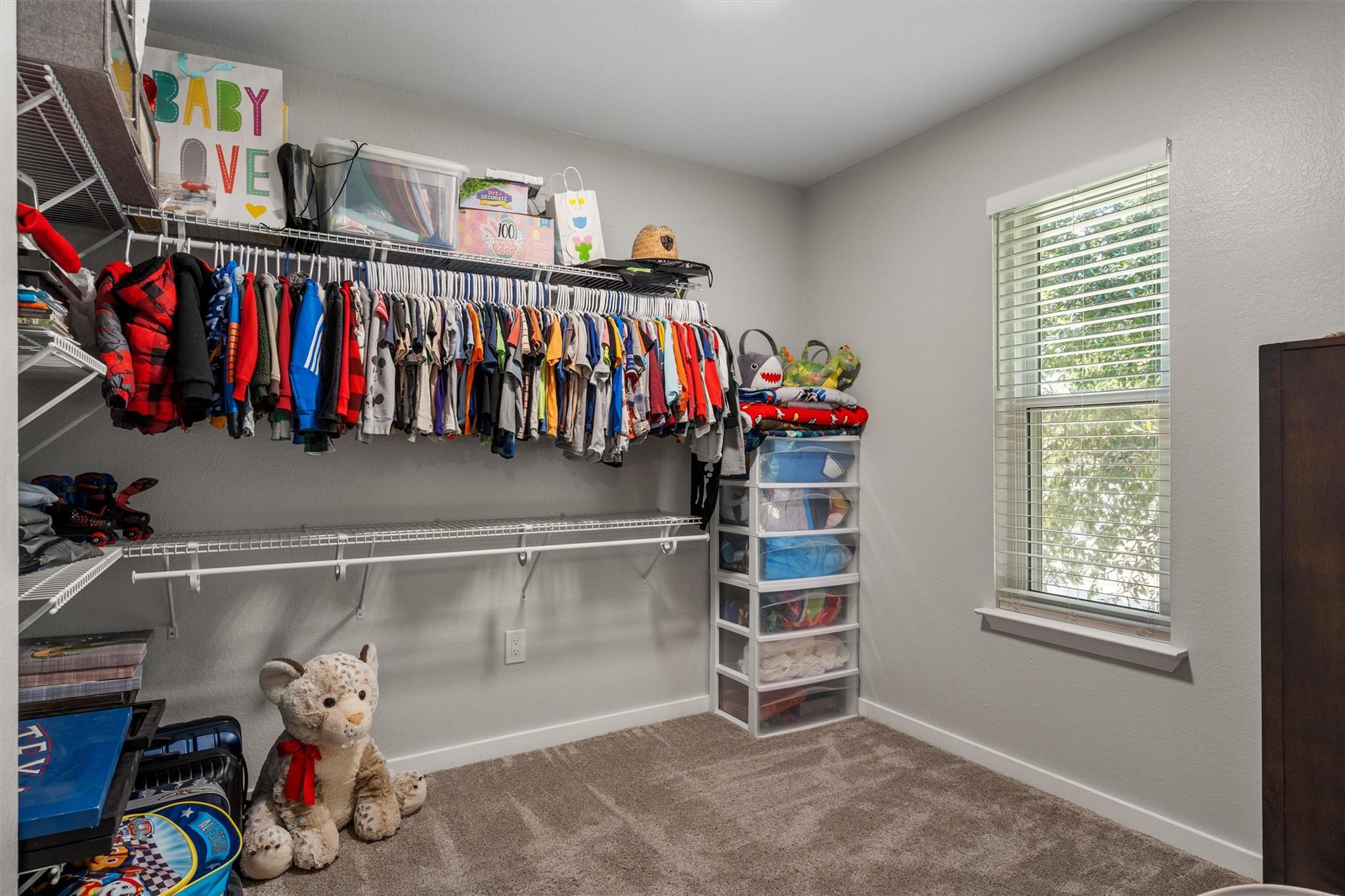19629 San Chisolm Drive Round Rock TX 78664