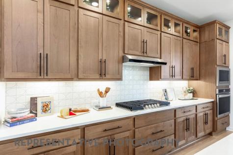 1420 Amanda Paige Drive Georgetown TX 78628