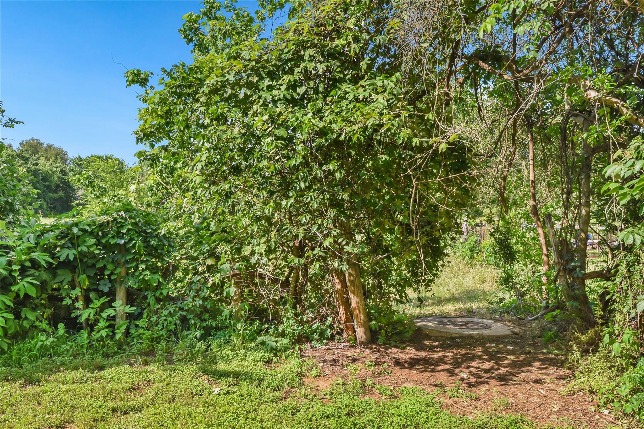 528 Old Mcdade Road Elgin TX 78621